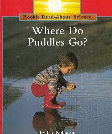 Where Do Puddles Go?
